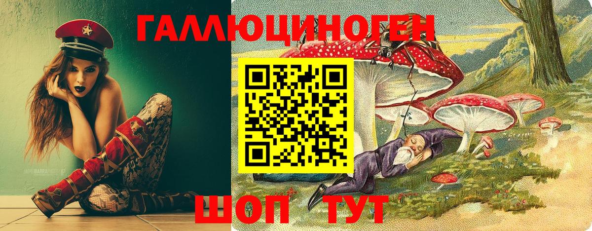 Галлюциногенные грибы Psilocybe  наркотики  Сафоново  Вход с VPN 